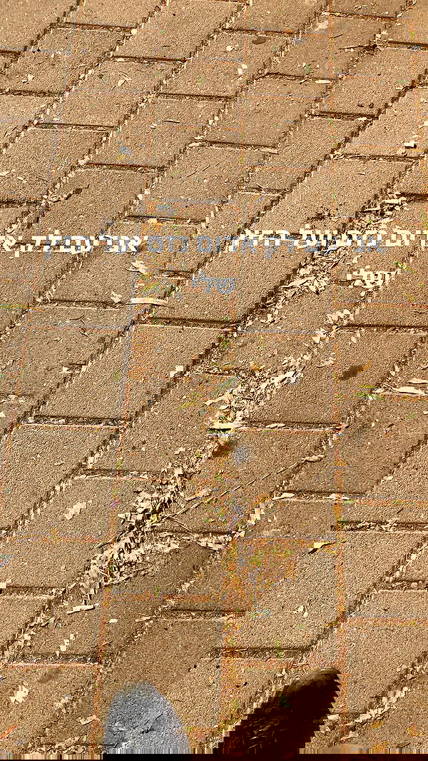 feelbetterinmysweater feelbetterinmysweater archive image