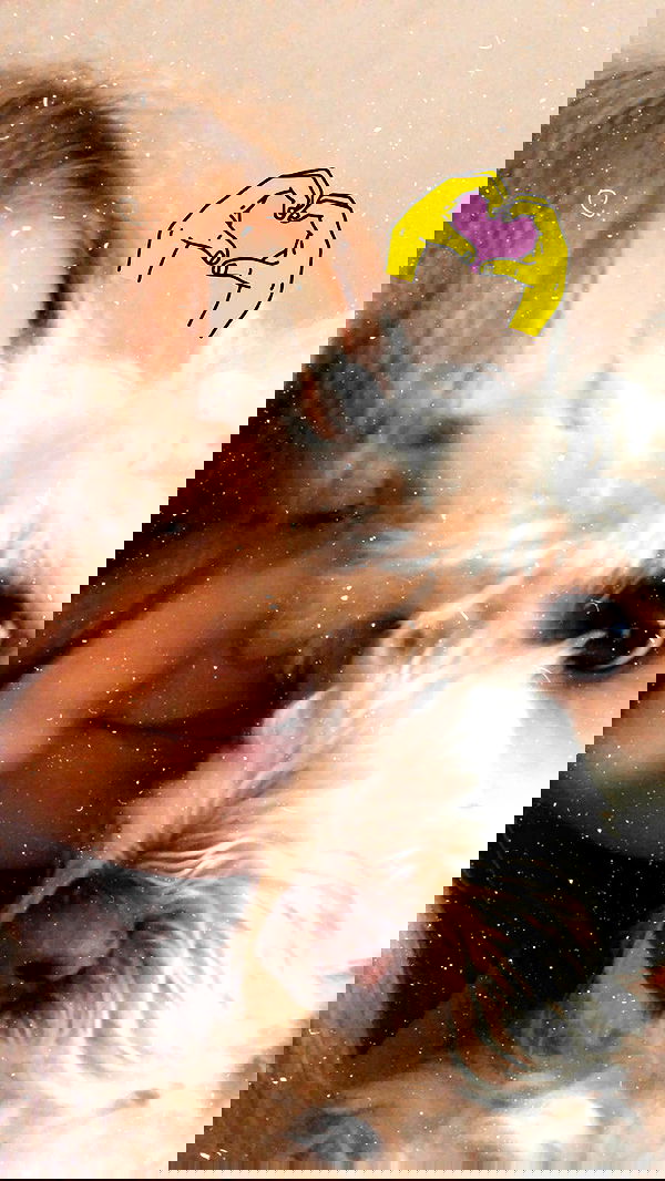 feelbetterinmysweater feelbetterinmysweater archive image