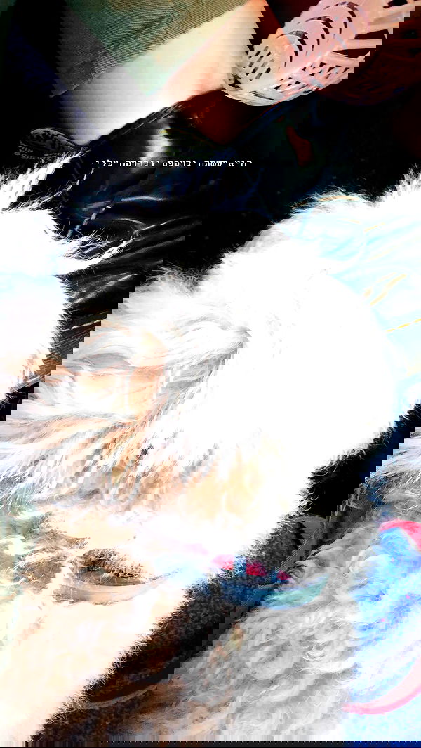 feelbetterinmysweater feelbetterinmysweater archive image