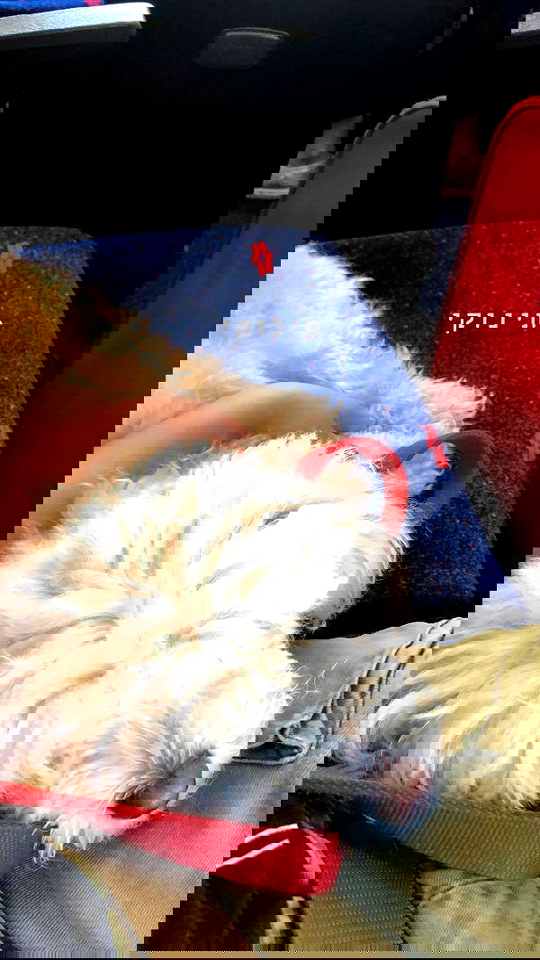 feelbetterinmysweater feelbetterinmysweater archive image