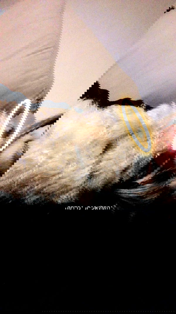 feelbetterinmysweater feelbetterinmysweater archive image