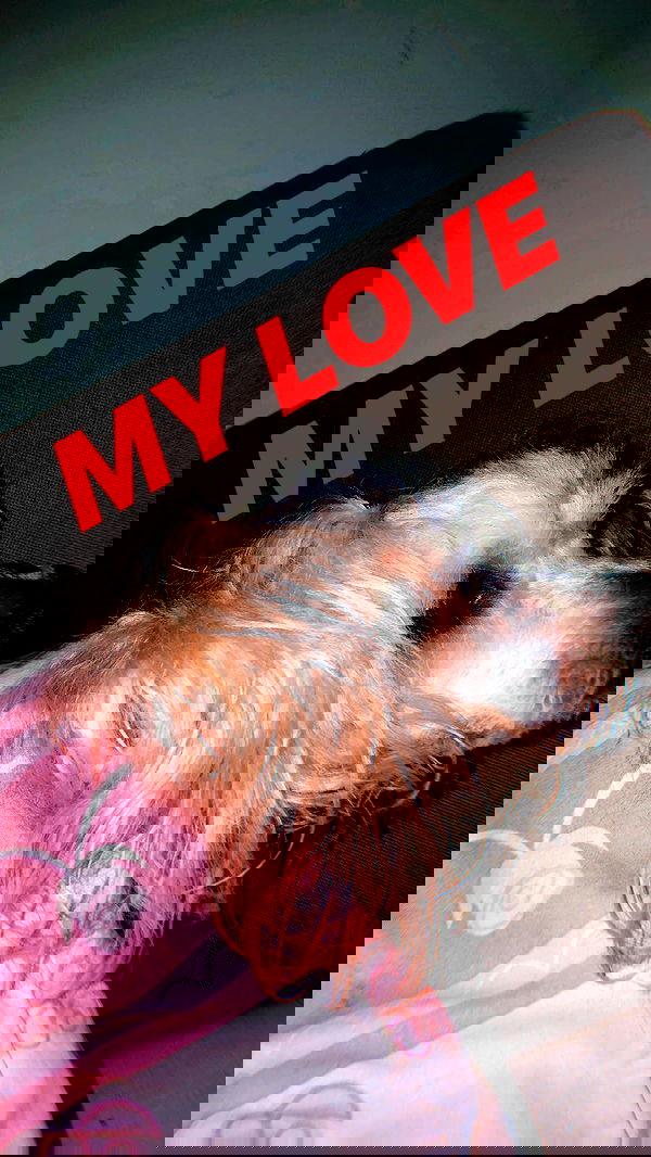 feelbetterinmysweater feelbetterinmysweater archive image