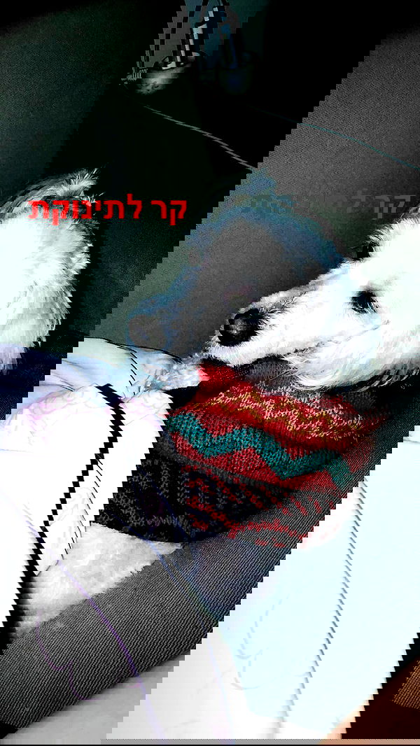 feelbetterinmysweater feelbetterinmysweater archive image