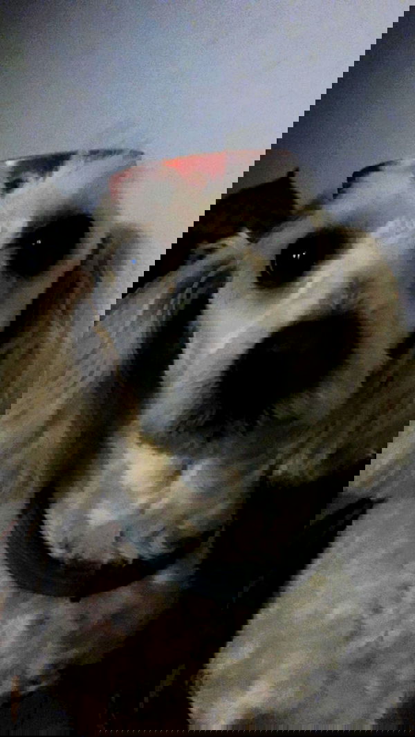 feelbetterinmysweater feelbetterinmysweater archive image