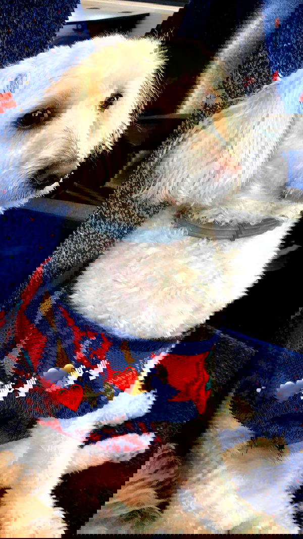 feelbetterinmysweater feelbetterinmysweater archive image