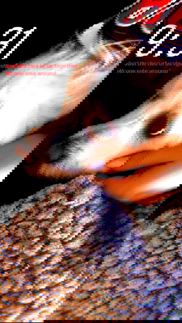 feelbetterinmysweater feelbetterinmysweater archive image