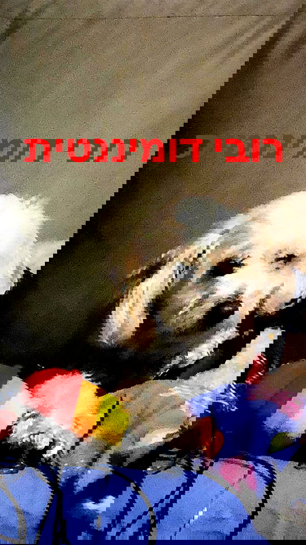 feelbetterinmysweater feelbetterinmysweater archive image