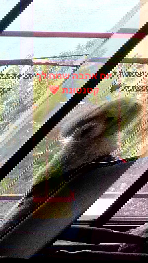 feelbetterinmysweater feelbetterinmysweater archive image