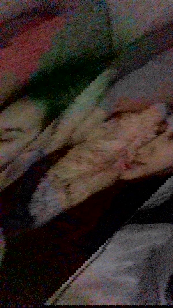 feelbetterinmysweater feelbetterinmysweater archive image