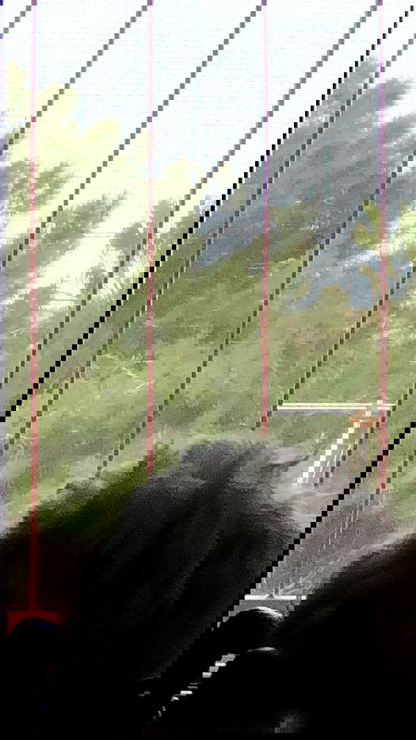 feelbetterinmysweater feelbetterinmysweater archive image