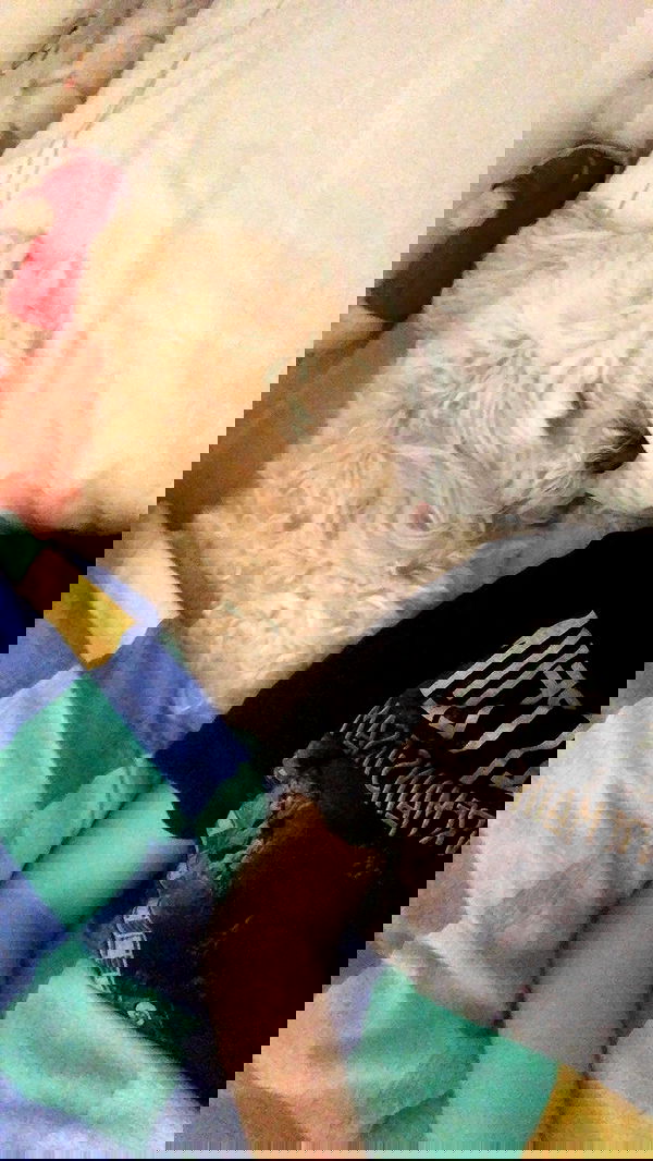 feelbetterinmysweater feelbetterinmysweater archive image