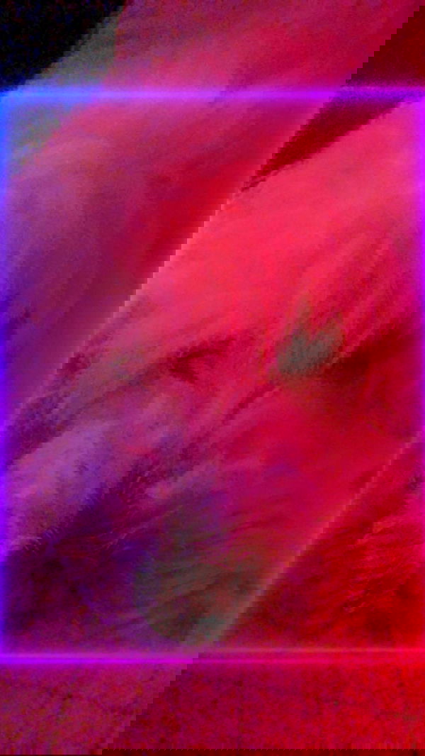 feelbetterinmysweater feelbetterinmysweater archive image