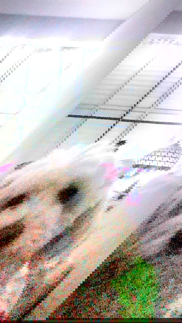 feelbetterinmysweater feelbetterinmysweater archive image