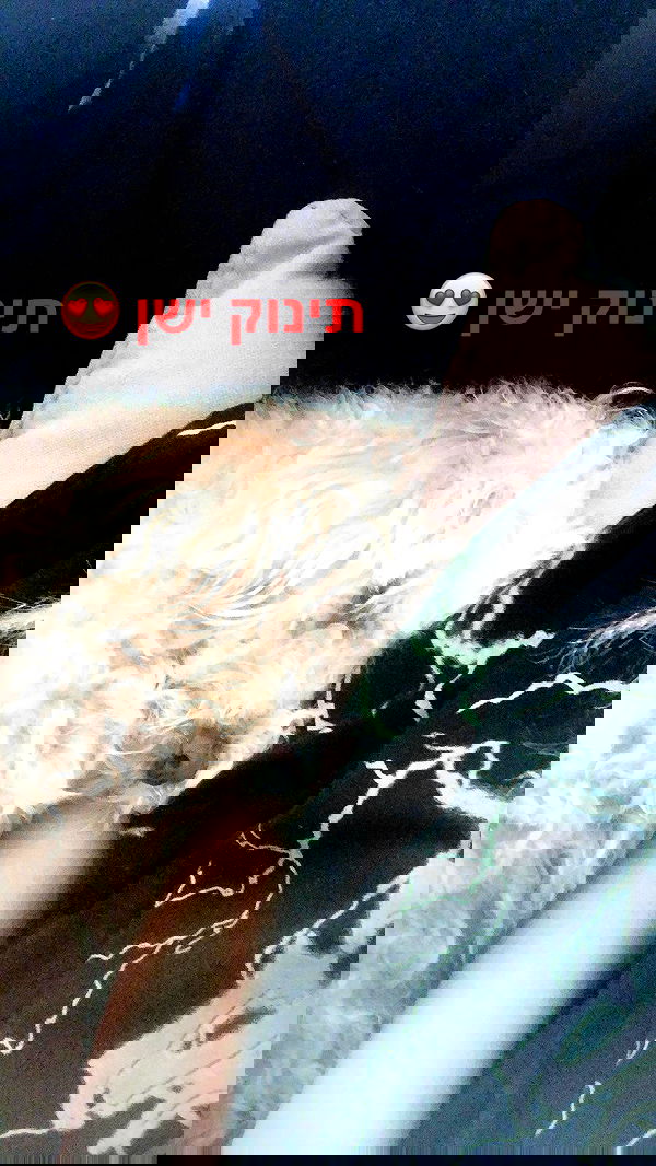 feelbetterinmysweater feelbetterinmysweater archive image