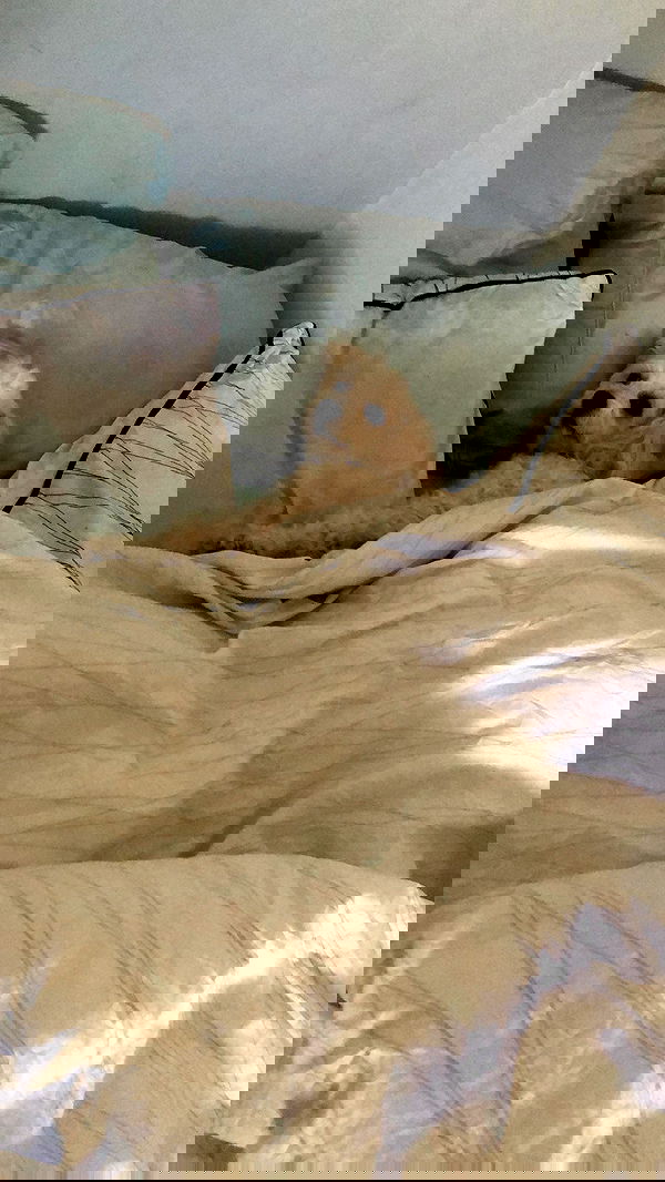 feelbetterinmysweater feelbetterinmysweater archive image