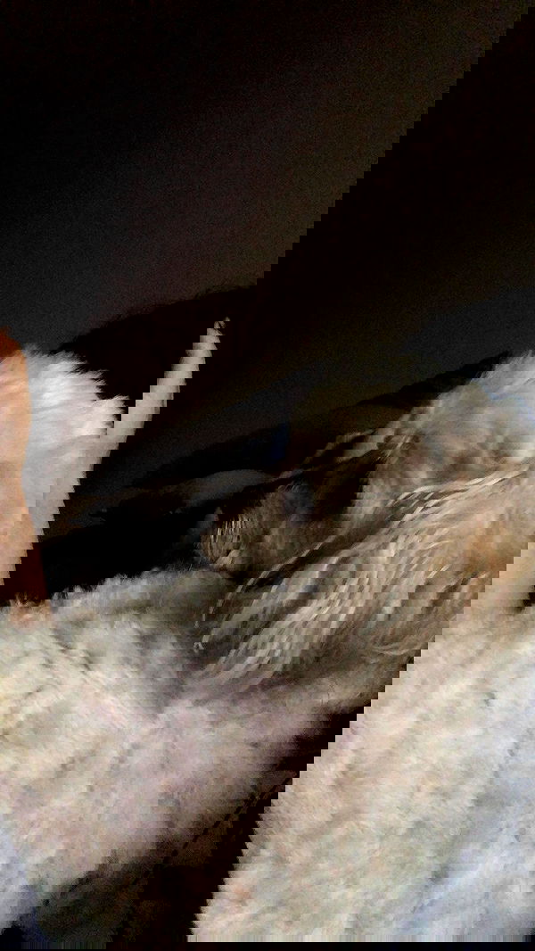 feelbetterinmysweater feelbetterinmysweater archive image