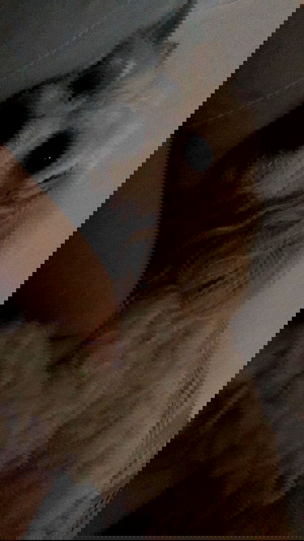 feelbetterinmysweater feelbetterinmysweater archive image