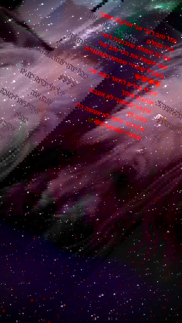 feelbetterinmysweater feelbetterinmysweater archive image