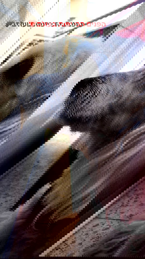 feelbetterinmysweater feelbetterinmysweater archive image