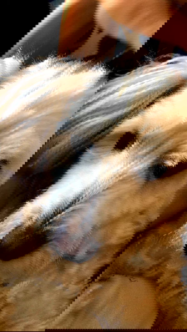 feelbetterinmysweater feelbetterinmysweater archive image