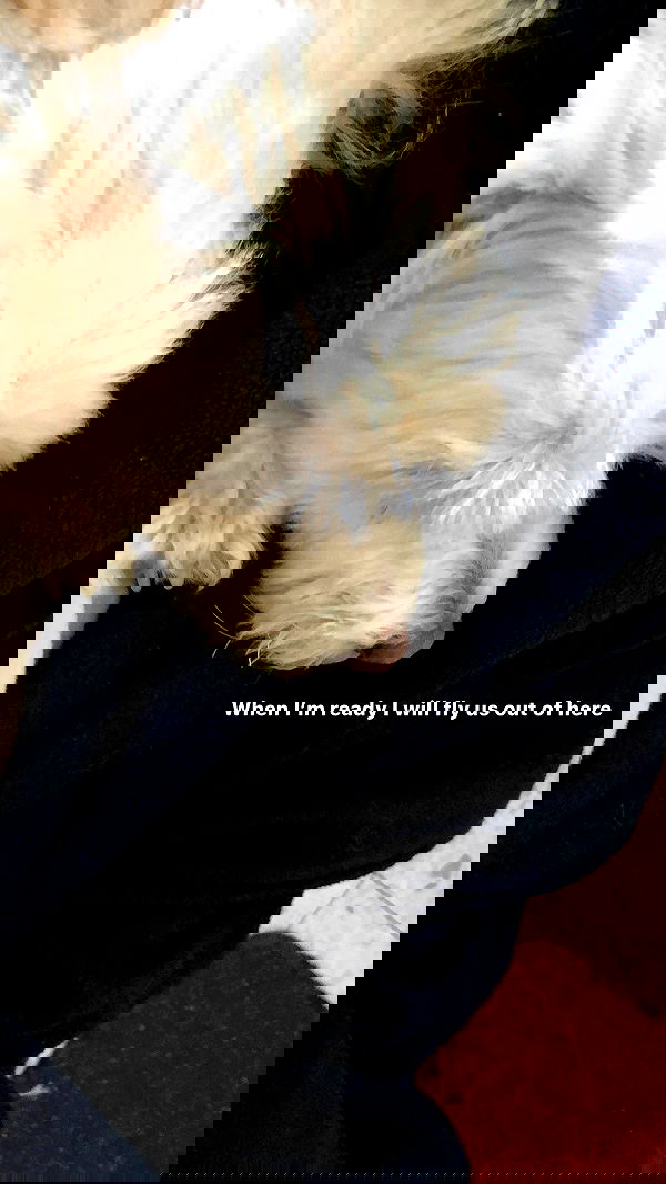 feelbetterinmysweater feelbetterinmysweater archive image