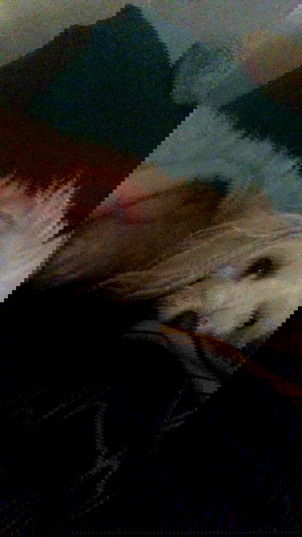 feelbetterinmysweater feelbetterinmysweater archive image