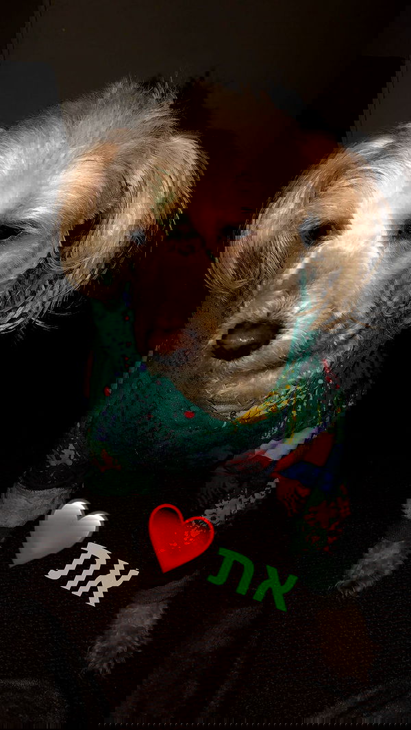 feelbetterinmysweater feelbetterinmysweater archive image