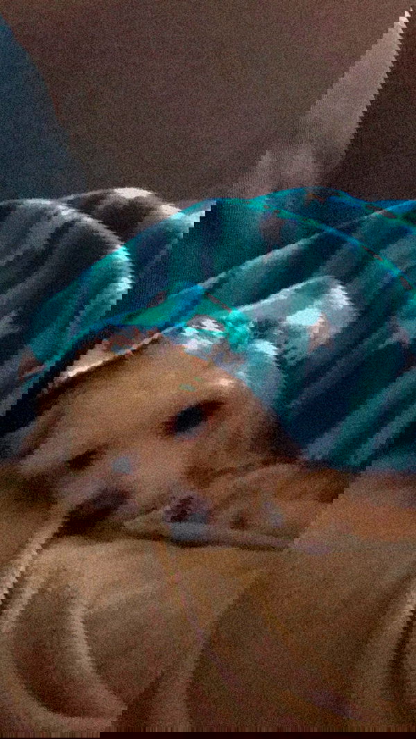 feelbetterinmysweater feelbetterinmysweater archive image