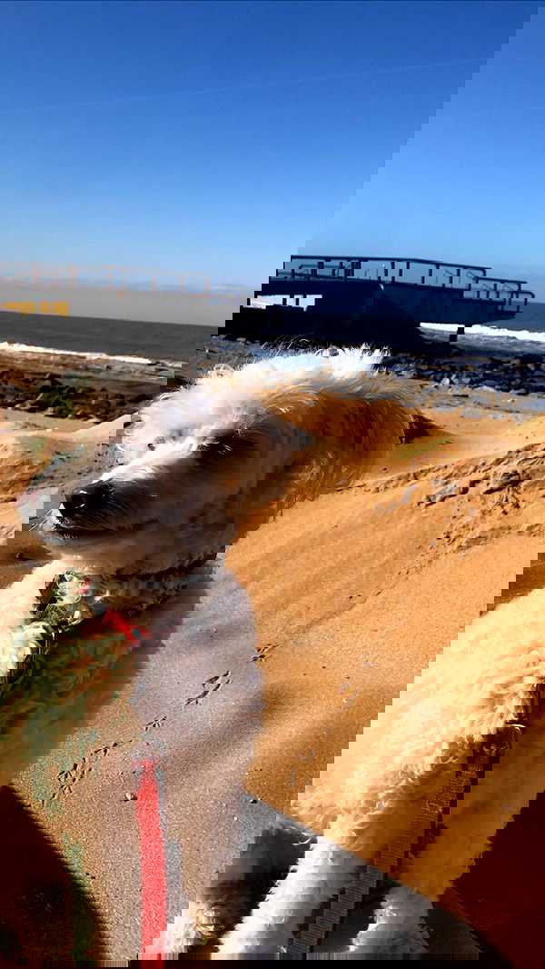 feelbetterinmysweater feelbetterinmysweater archive image