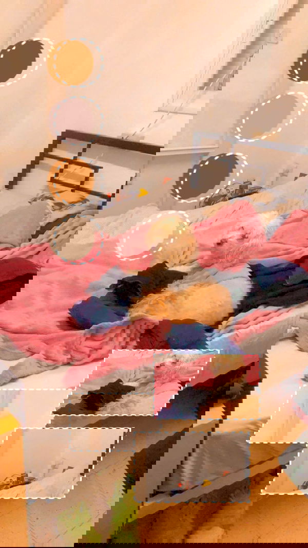 feelbetterinmysweater feelbetterinmysweater archive image