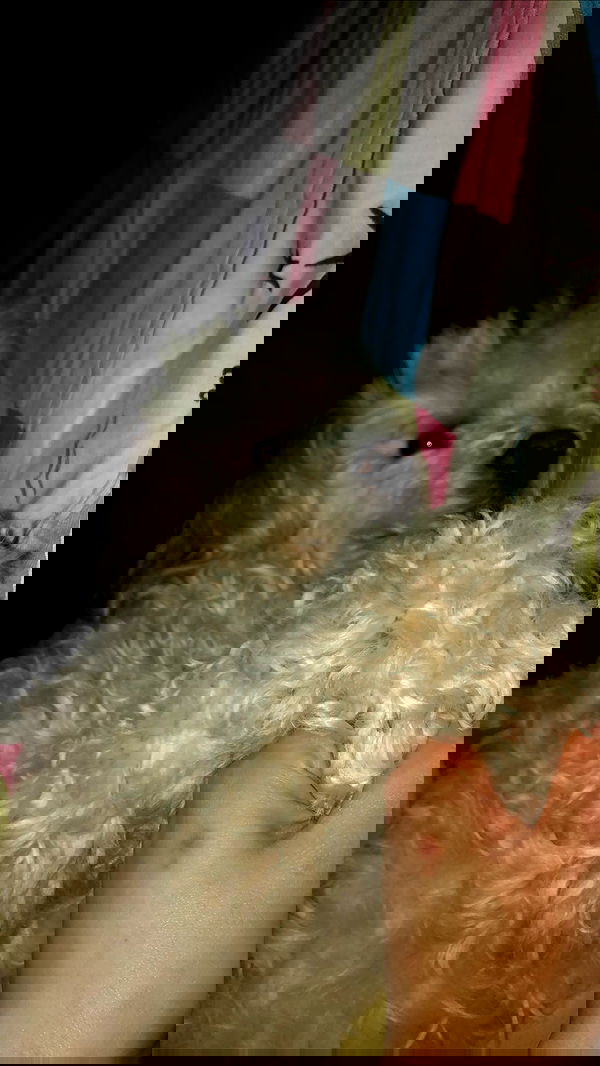 feelbetterinmysweater feelbetterinmysweater archive image