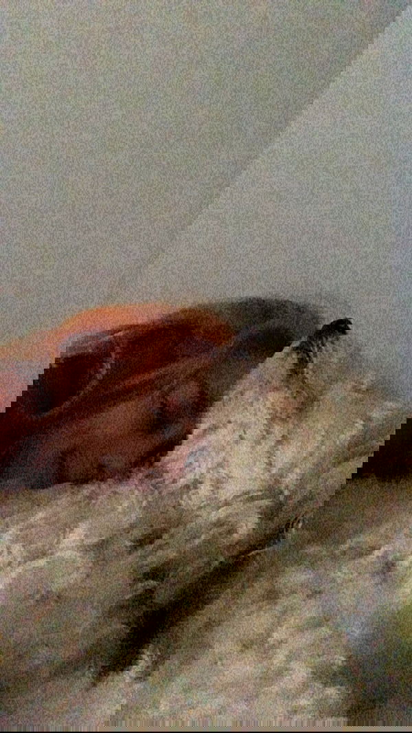 feelbetterinmysweater feelbetterinmysweater archive image