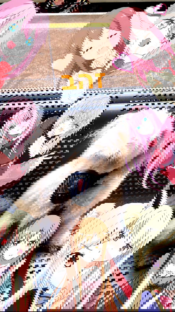 feelbetterinmysweater feelbetterinmysweater archive image