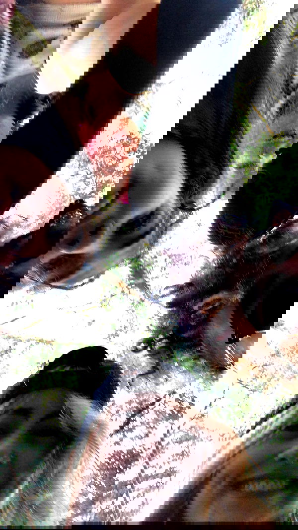 feelbetterinmysweater feelbetterinmysweater archive image