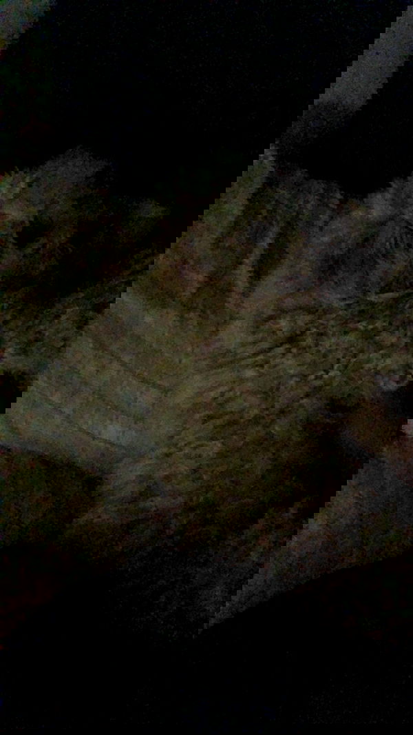 feelbetterinmysweater feelbetterinmysweater archive image