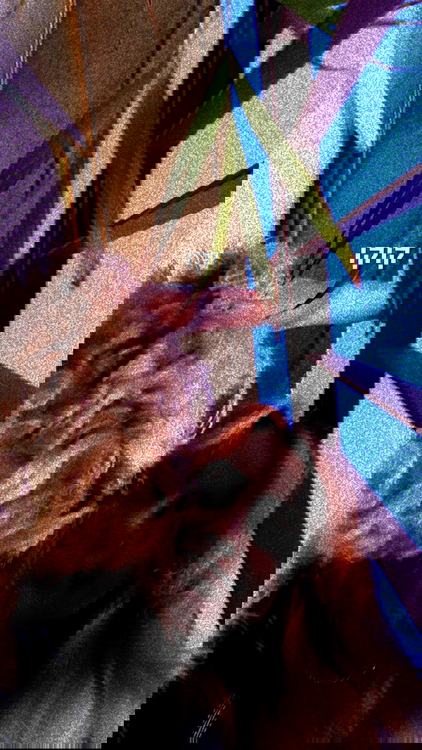 feelbetterinmysweater feelbetterinmysweater archive image