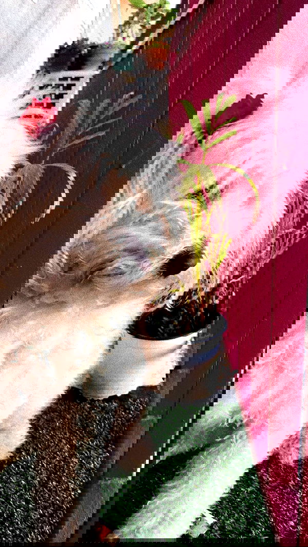 feelbetterinmysweater feelbetterinmysweater archive image