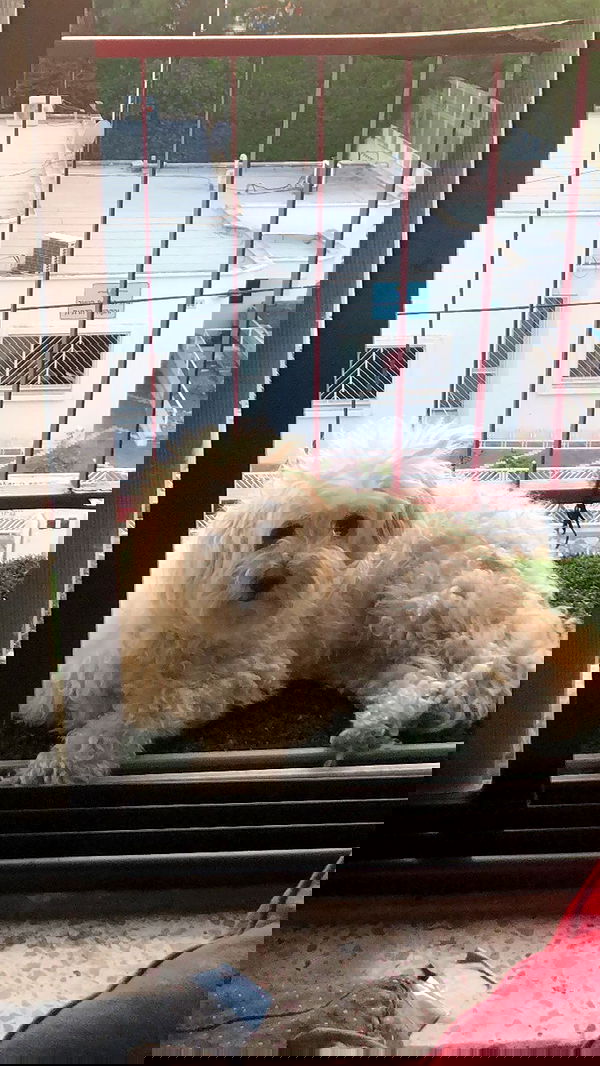 feelbetterinmysweater feelbetterinmysweater archive image