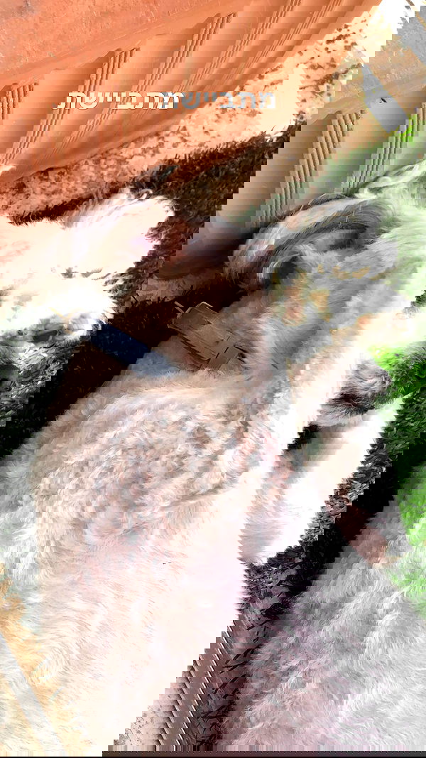 feelbetterinmysweater feelbetterinmysweater archive image