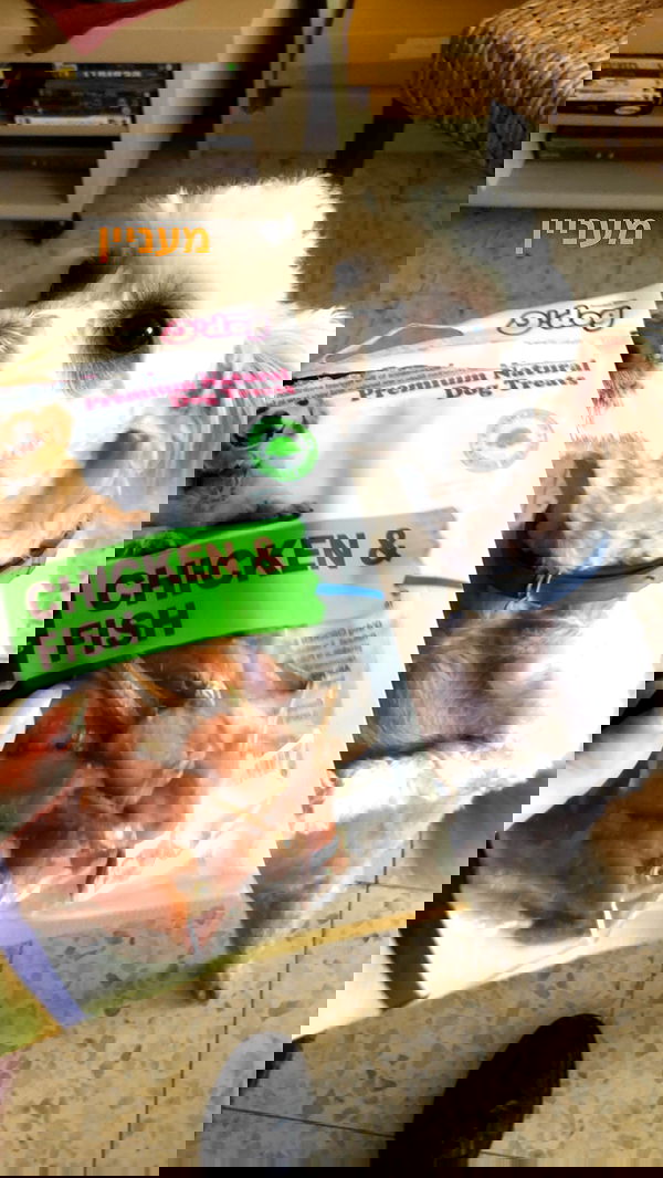 feelbetterinmysweater feelbetterinmysweater archive image