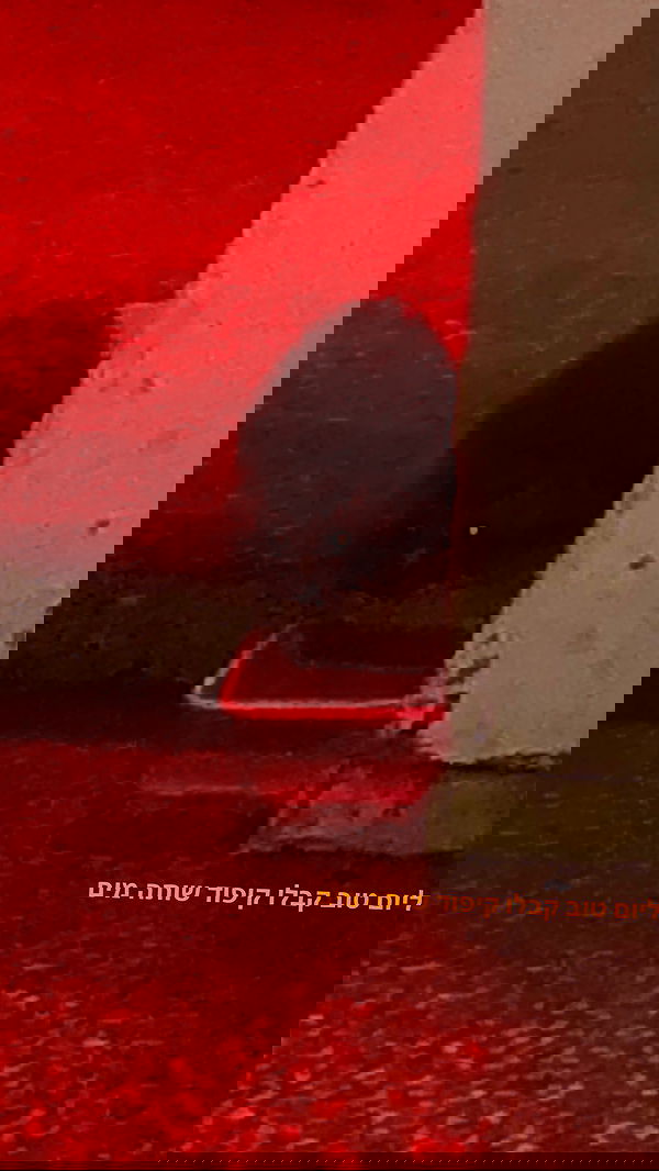 feelbetterinmysweater feelbetterinmysweater archive image