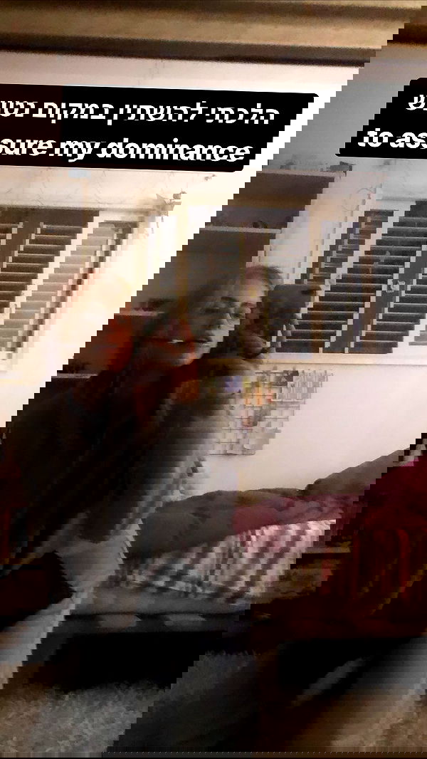 feelbetterinmysweater feelbetterinmysweater archive image