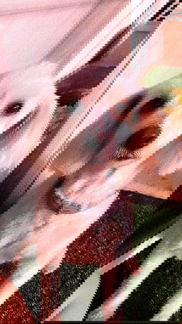 feelbetterinmysweater feelbetterinmysweater archive image