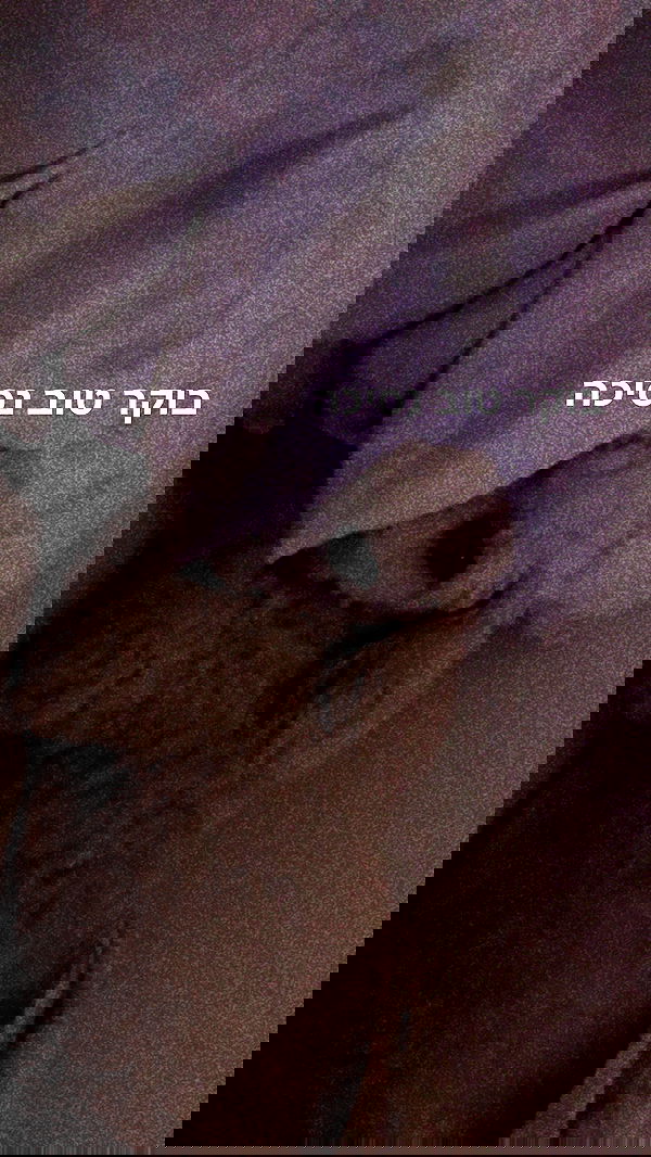 feelbetterinmysweater feelbetterinmysweater archive image