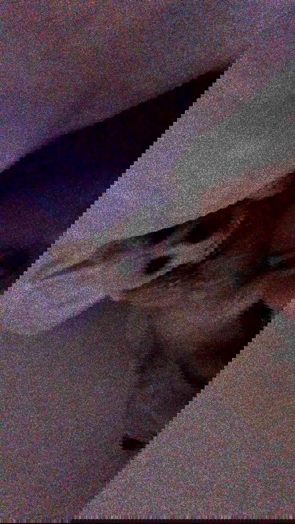 feelbetterinmysweater feelbetterinmysweater archive image