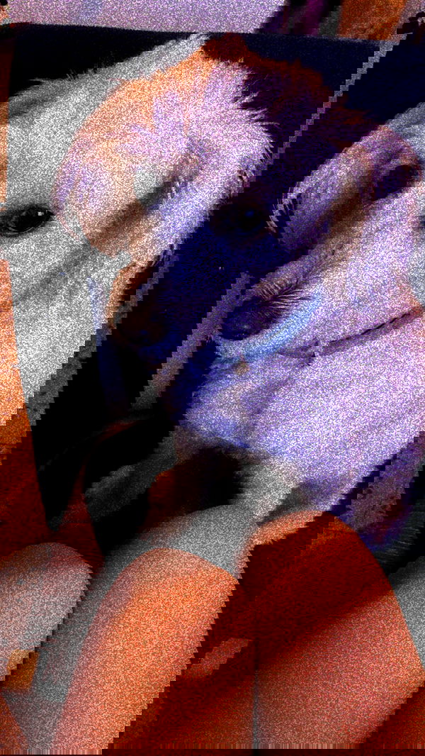 feelbetterinmysweater feelbetterinmysweater archive image