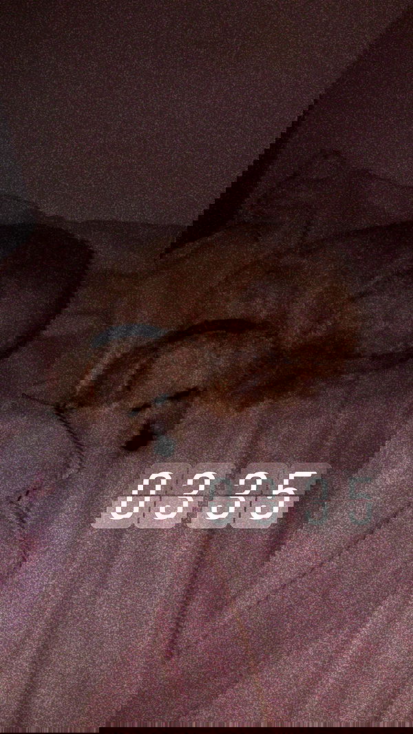 feelbetterinmysweater feelbetterinmysweater archive image