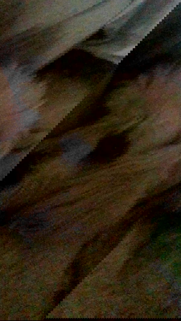 feelbetterinmysweater feelbetterinmysweater archive image