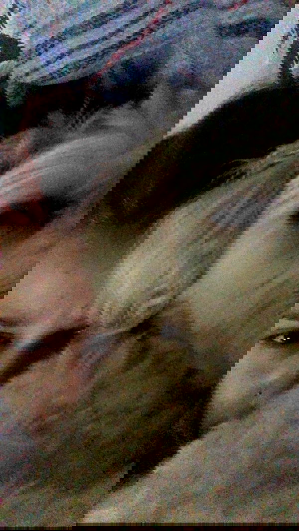 feelbetterinmysweater feelbetterinmysweater archive image