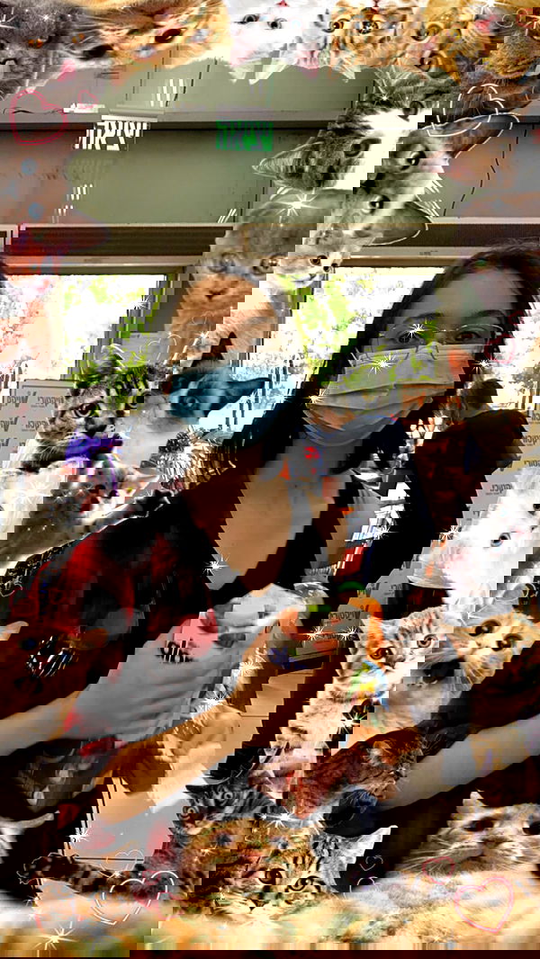 feelbetterinmysweater feelbetterinmysweater archive image